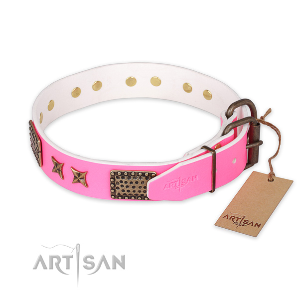Everyday use leather collar with studs for your pet