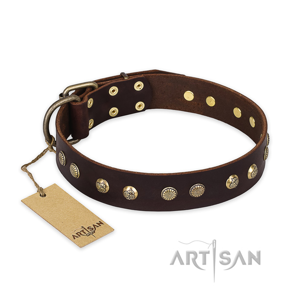 Significant design adornments on genuine leather dog collar