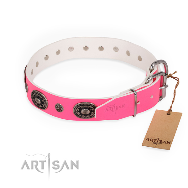 Remarkable design adornments on leather dog collar