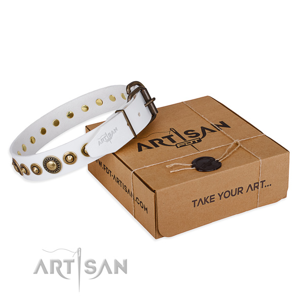 Fine quality leather dog collar for walking in style