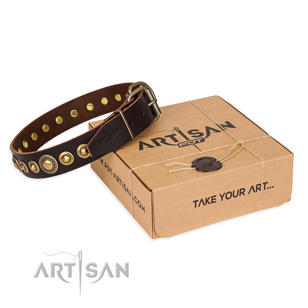 High quality leather dog collar for stylish walking