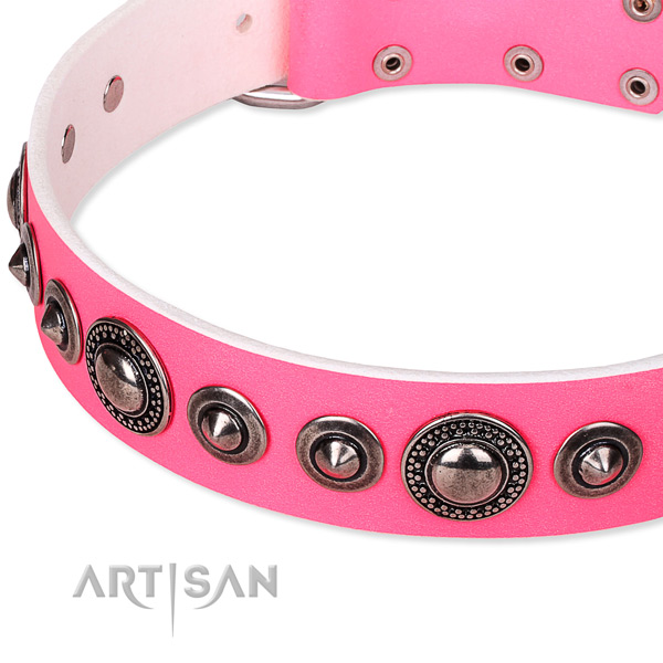 Easy to put on/off leather dog collar with resistant to tear and wear non-rusting set of hardware