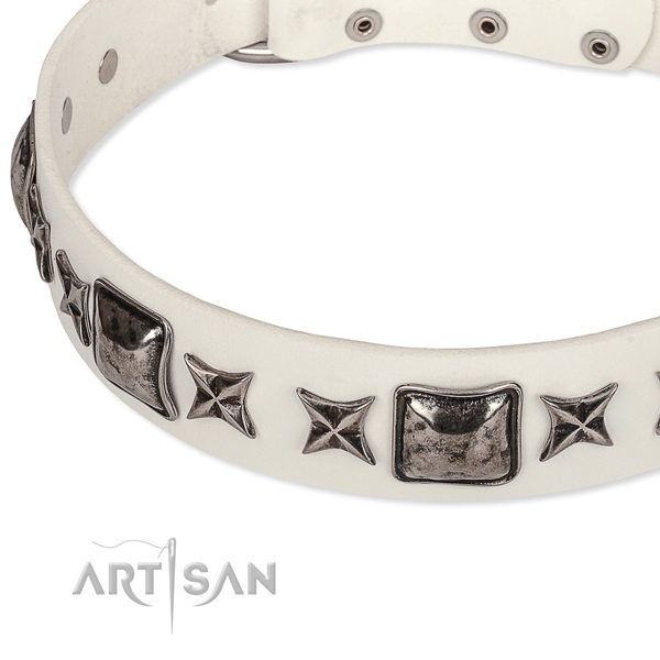 Adjustable leather dog collar with extra sturdy chrome plated buckle and D-ring