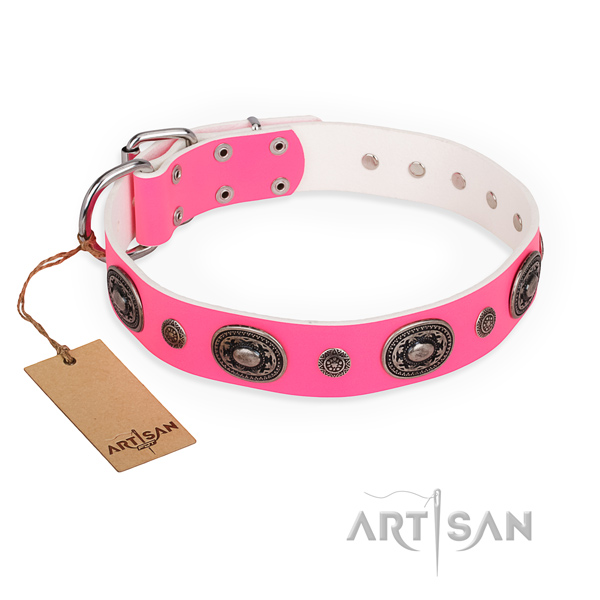 Multifunctional leather collar for your beloved pet