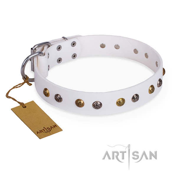 Top notch design studs on full grain genuine leather dog collar