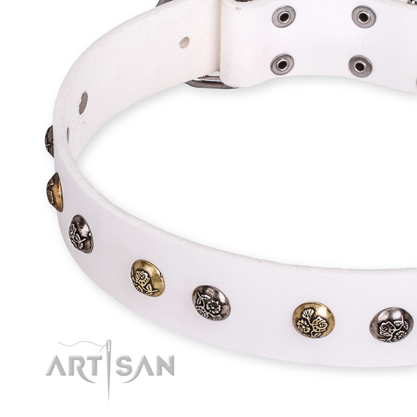 Easy to use leather dog collar with resistant chrome plated set of hardware