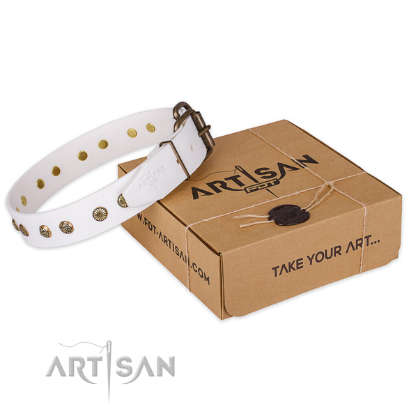 High quality full grain genuine leather dog collar for daily use