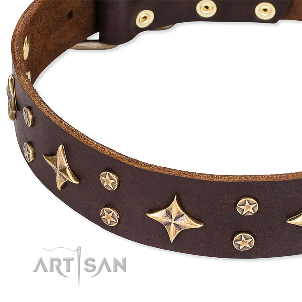 Easy to put on/off leather dog collar with almost unbreakable non-rusting set of hardware