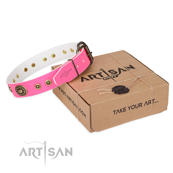 Awesome genuine leather dog collar for stylish walking