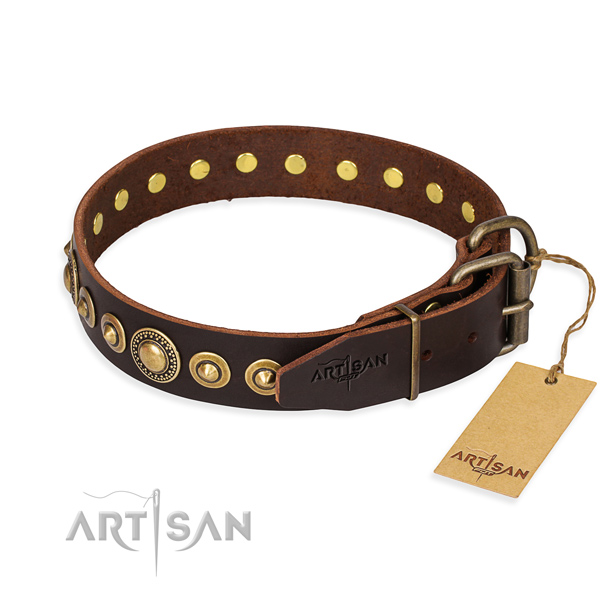 Versatile leather collar for your beloved four-legged friend