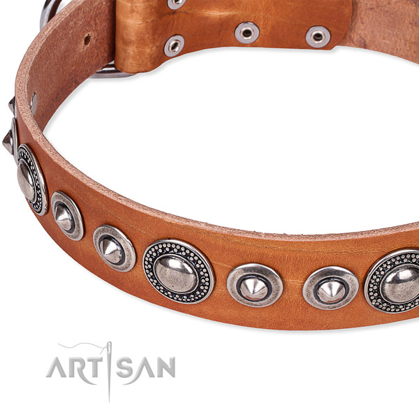 Easy to adjust leather dog collar with extra strong durable fittings