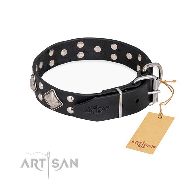 Daily leather collar for your handsome canine