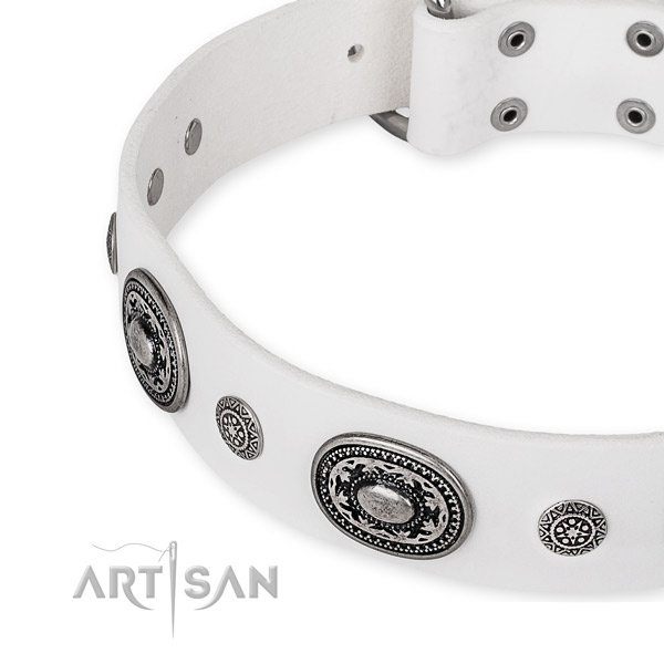 Adjustable leather dog collar with resistant non-rusting fittings