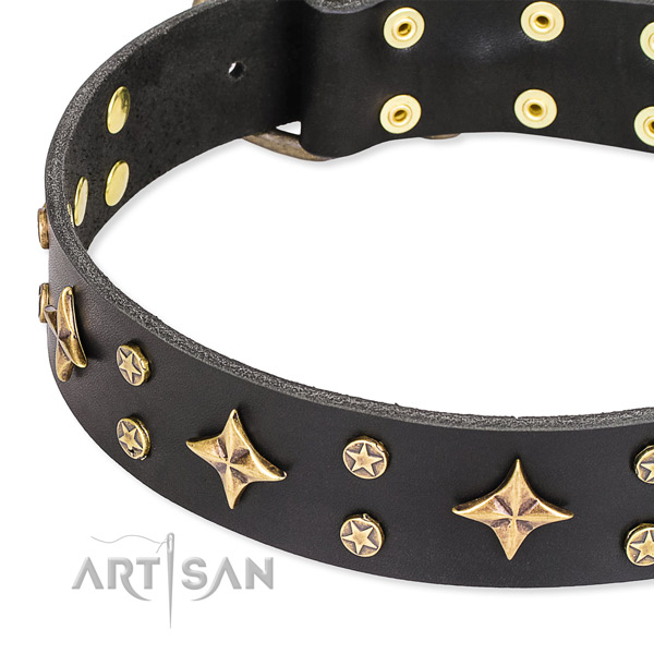 Adjustable leather dog collar with resistant to tear and wear rust-proof fittings