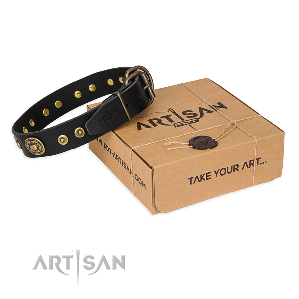 Top notch full grain natural leather dog collar for stylish walking