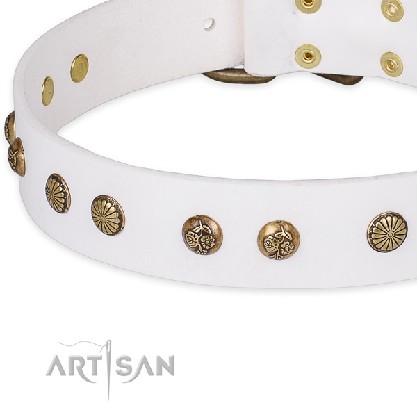Quick to fasten leather dog collar with almost unbreakable durable fittings