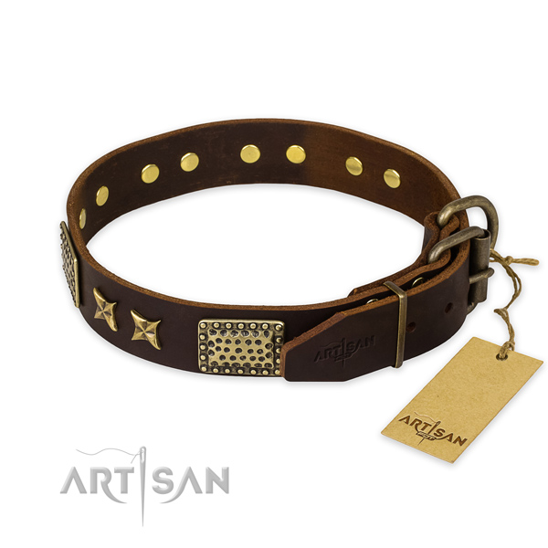 Daily use full grain natural leather collar with studs for your four-legged friend