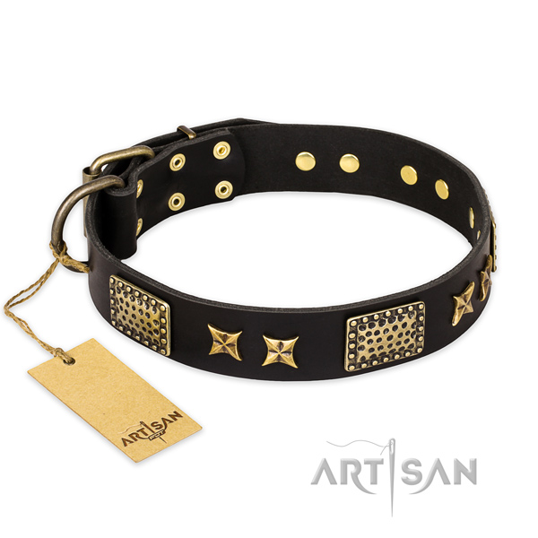 Amazing design studs on full grain leather dog collar