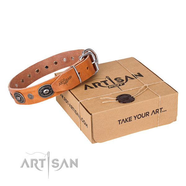 Best quality genuine leather dog collar for everyday walking