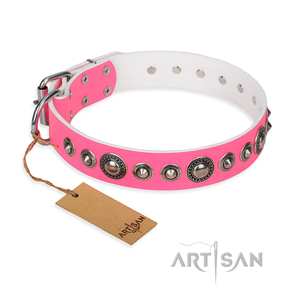 Tough leather dog collar with rust-proof elements