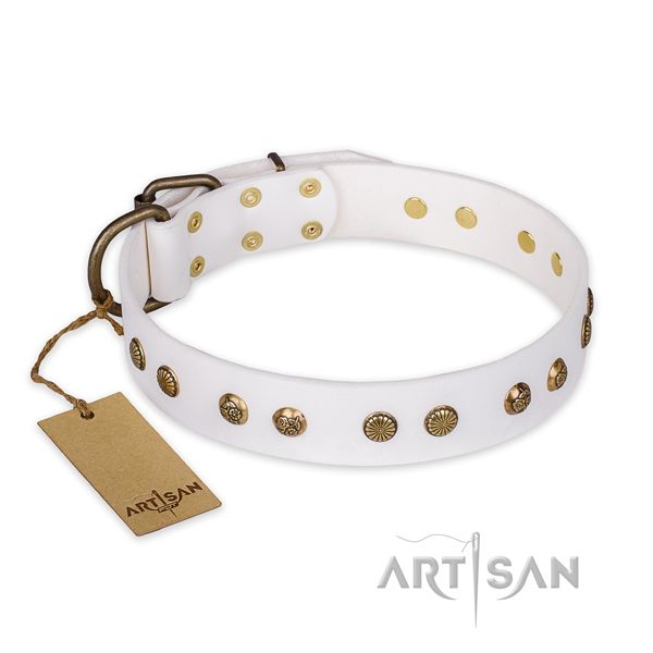 Incredible design adornments on full grain genuine leather dog collar