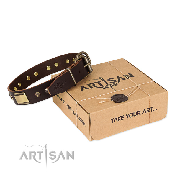 Finest quality genuine leather dog collar for daily use