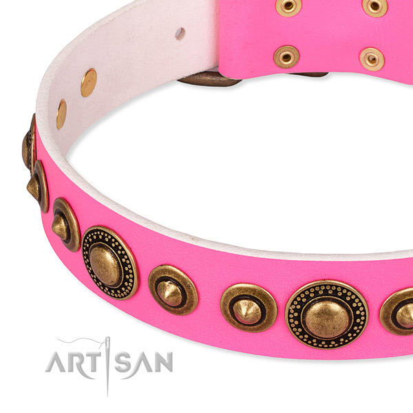 Easy to put on/off leather dog collar with extra sturdy non-rusting hardware