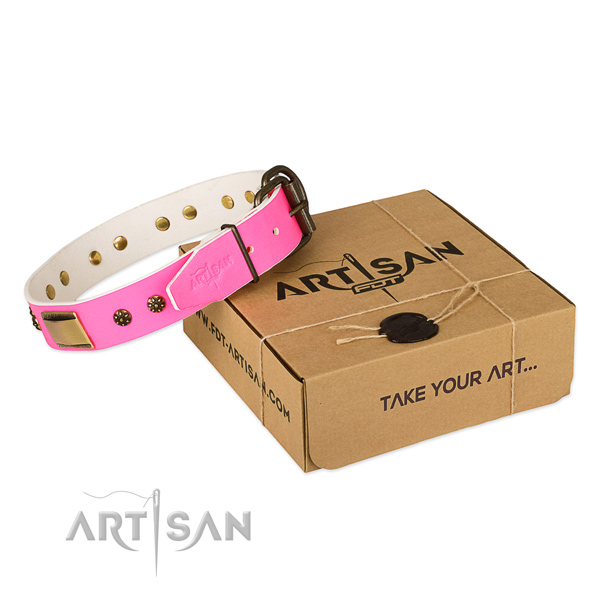 Awesome natural genuine leather dog collar for stylish walks