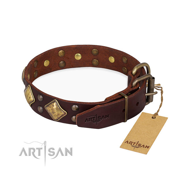 Functional leather collar for your elegant dog