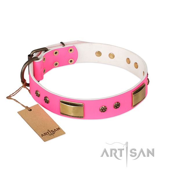 Unique design embellishments on full grain genuine leather dog collar