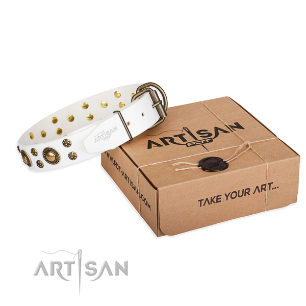 Everyday leather dog collar with amazing studs
