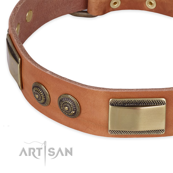 Everyday use leather collar with rust-proof buckle and D-ring