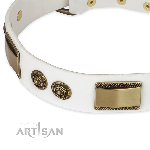 Daily walking genuine leather collar with durable buckle and D-ring