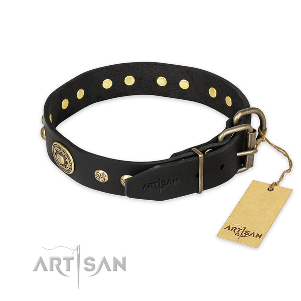 Daily use full grain genuine leather collar with adornments for your four-legged friend