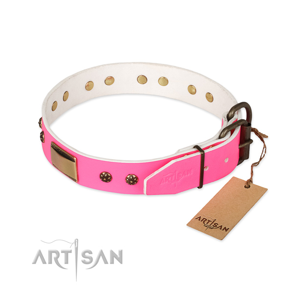 Daily walking genuine leather collar with embellishments for your doggie