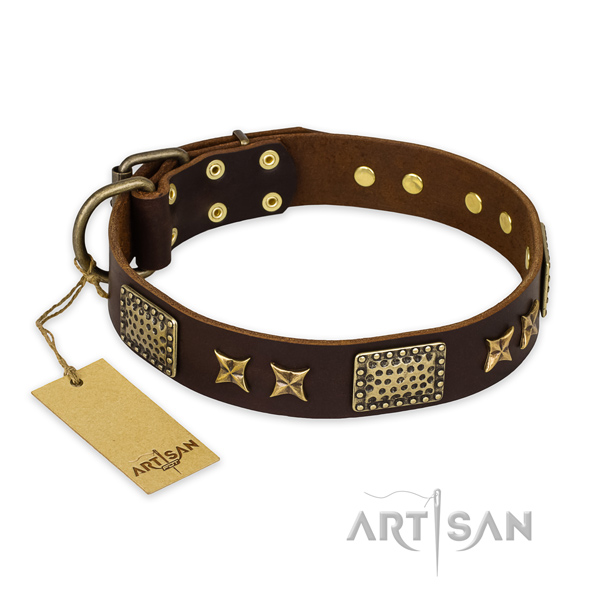 Remarkable design adornments on full grain leather dog collar
