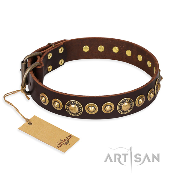 Strong leather dog collar with riveted details