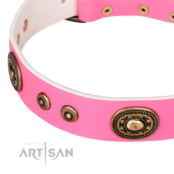 Easy to use leather dog collar with extra strong durable buckle