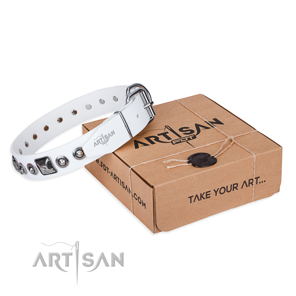 Best quality leather dog collar for everyday walking