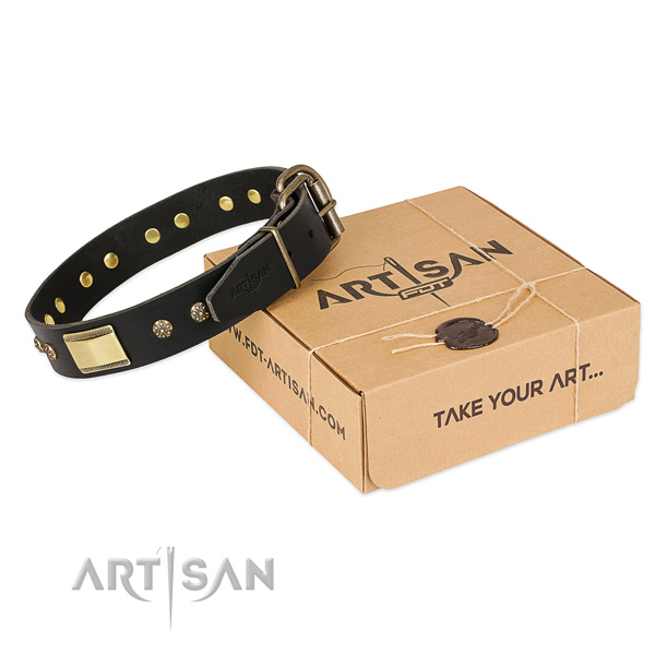 Incredible leather dog collar for daily use