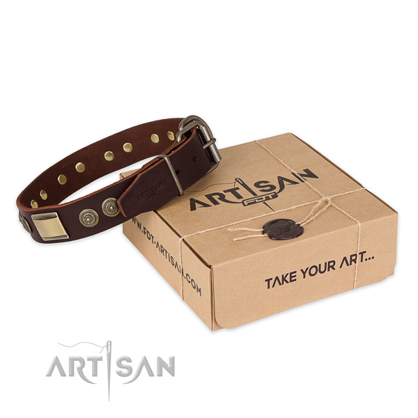 Designer leather dog collar for stylish walks