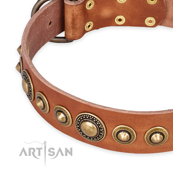 Snugly fitted leather dog collar with almost unbreakable old bronze-like plated fittings