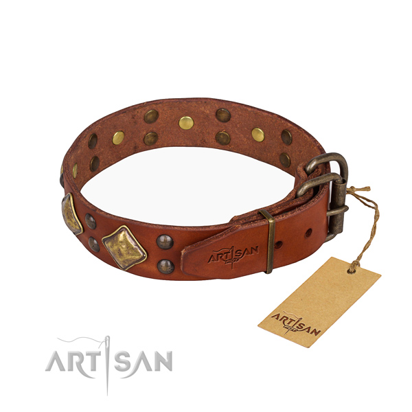 Everyday leather collar for your handsome four-legged friend