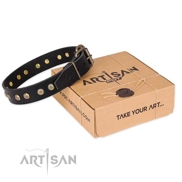 Finest quality full grain natural leather dog collar for walking in style