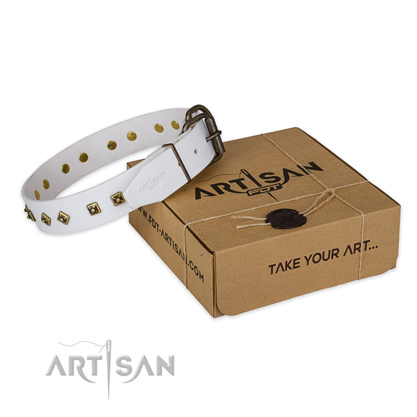 Top notch full grain genuine leather dog collar for stylish walking