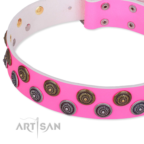 Snugly fitted leather dog collar with extra sturdy non-rusting set of hardware