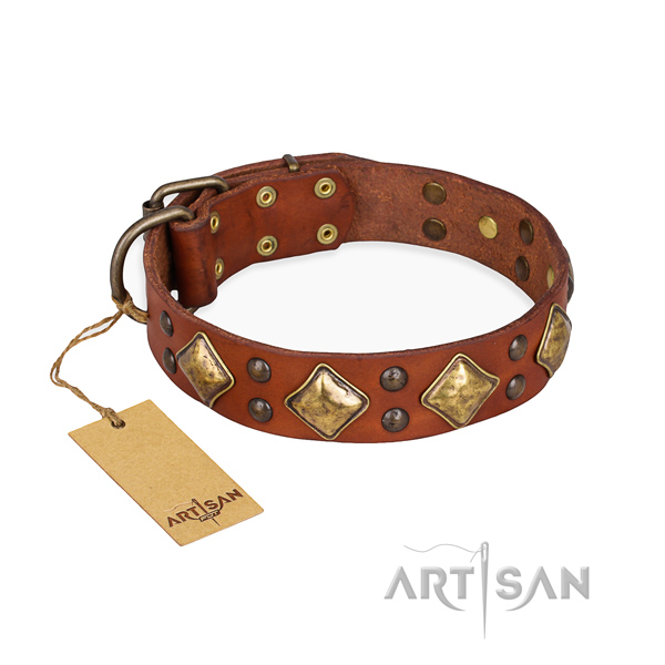 Exceptional design studs on full grain natural leather dog collar