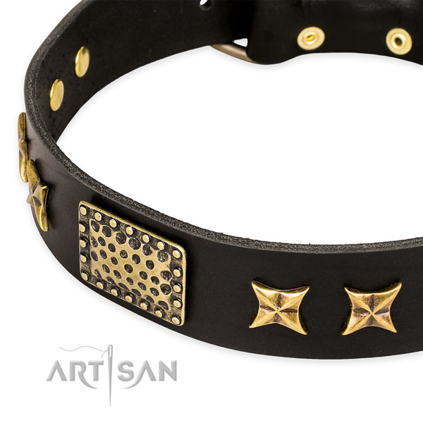 Snugly fitted leather dog collar with extra strong brass plated buckle
