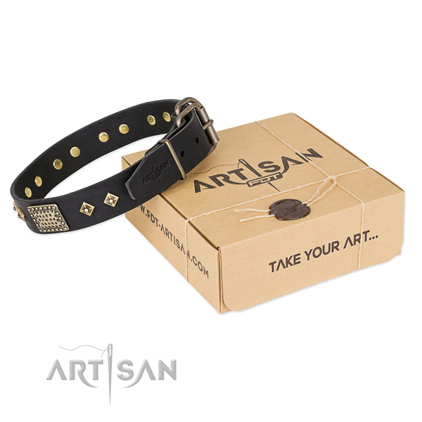 Stylish design leather dog collar for stylish walks