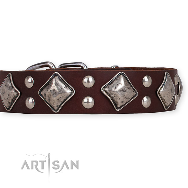 Quick to fasten leather dog collar with extra sturdy non-rusting hardware